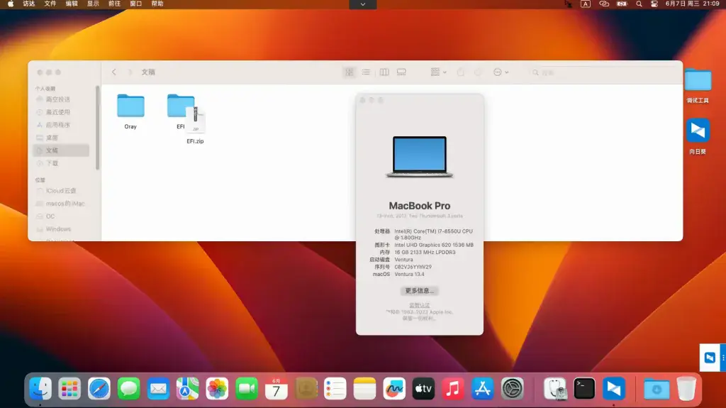 雷蛇Blade Stealth 13 Early 2020 i7-1065G7 EFI Monterey Ventura - 图片3