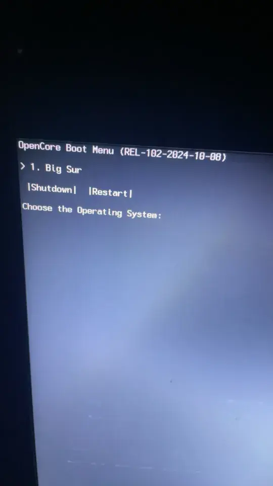 戴尔Inspiron 7537 i5-4200U黑苹果安装EFI - 图片3