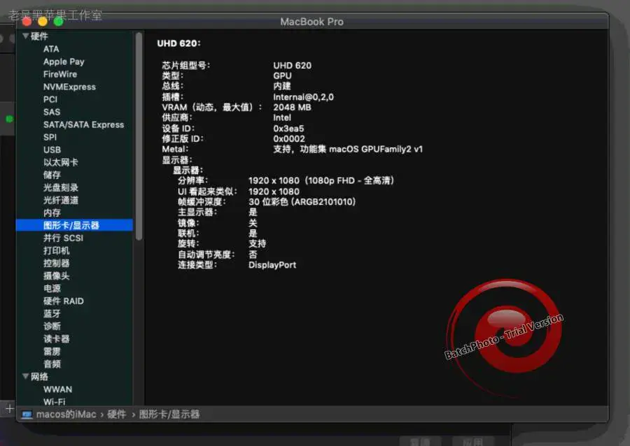 神舟精盾U45A1 i5-8265U EFI Catalina - 图片7
