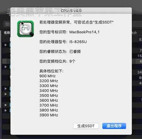 华为荣耀MateBook/MagicBook 13/14 WRT/KLV/VLR-WX9 i5-8265U黑苹果引导EFI - 图片6