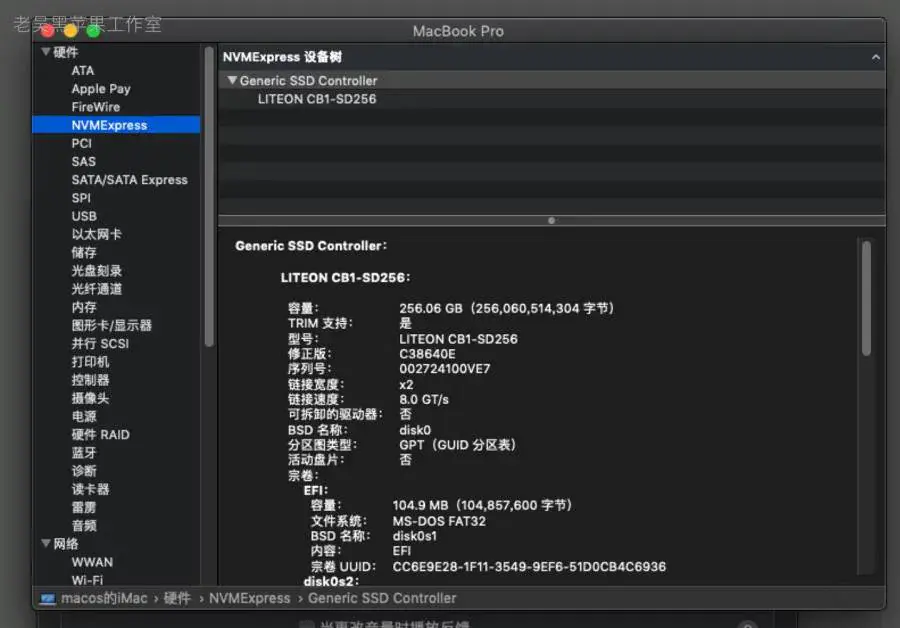 华为MateBook X 2017 i5-7200U黑苹果引导EFI - 图片6