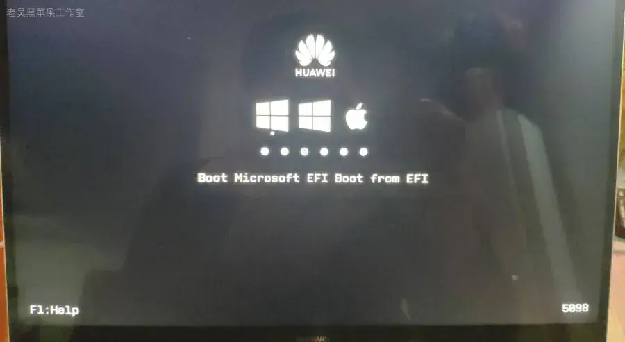 华为MateBook X 2017 i5-7200U黑苹果引导EFI - 图片15