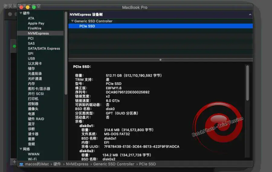 神舟精盾U45A1 i5-8265U EFI Catalina - 图片5