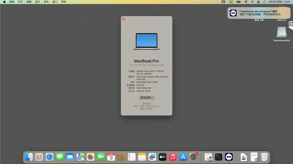 ThinkPad X390 i7-10510U EFI Sonoma - 图片1