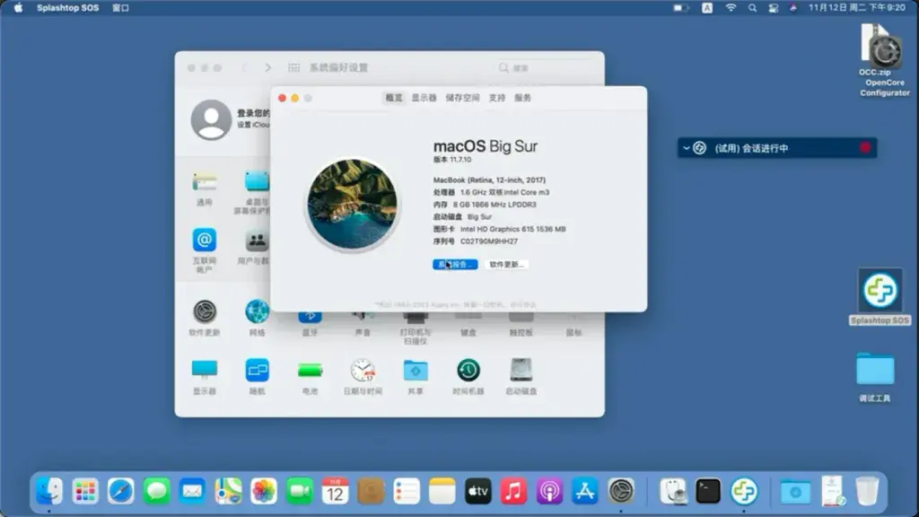 NEC PC-VKT12HZG1 i5-7Y54 EFI Big Sur - 图片1