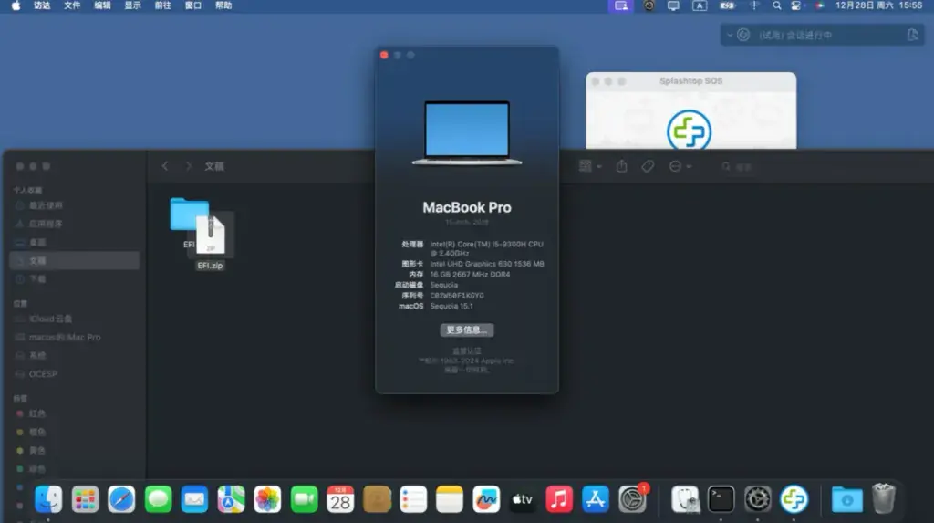 戴尔G3 3590 i5-9300H黑苹果安装EFI - 图片1