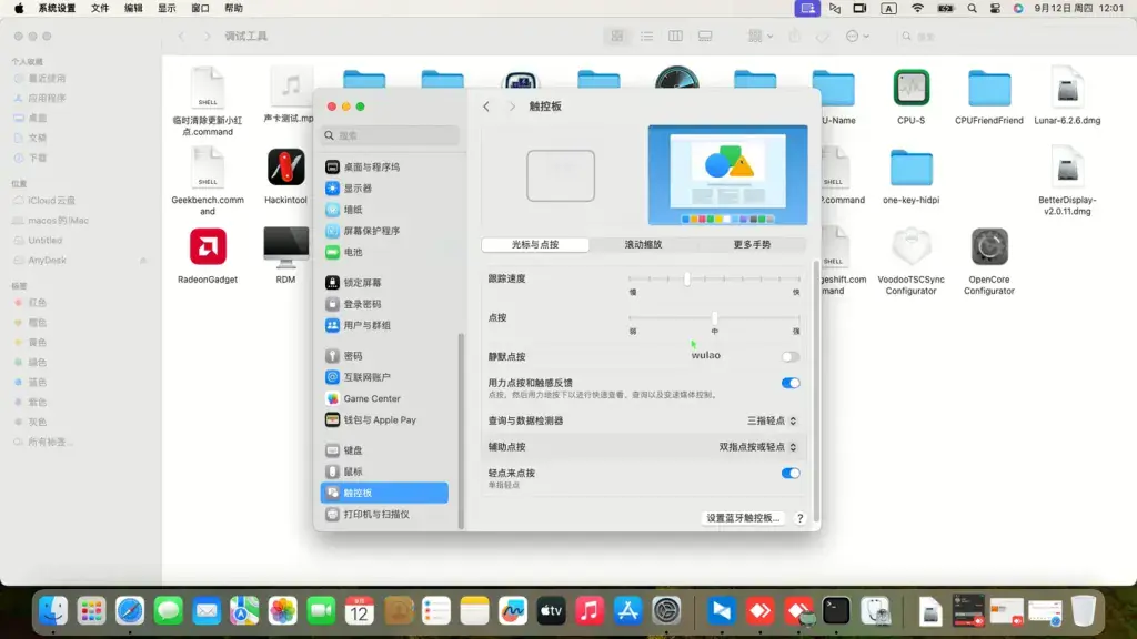 戴尔G15 5515 AMD Ryzen 7 5800H黑苹果安装EFI - 图片2
