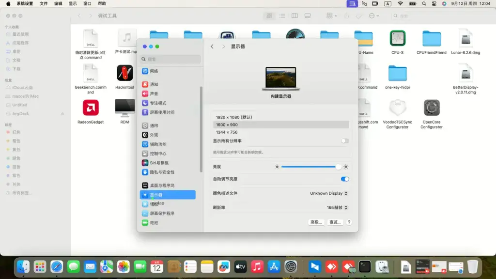 戴尔G15 5515 AMD Ryzen 7 5800H黑苹果安装EFI - 图片5