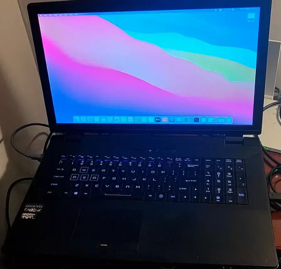 蓝天P770DM i9-9900T EFI Big Sur - 图片1