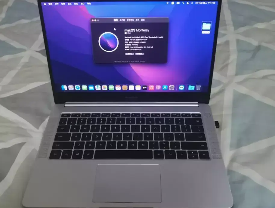 华为/荣耀MagicBook/MateBook D 14 2018 VLT-WX0/MRC-WX0黑苹果引导EFI - 图片1