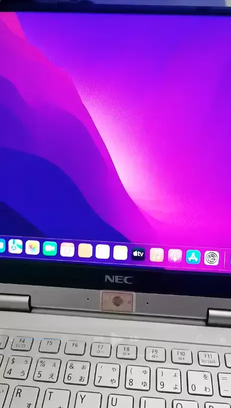NEC PC-VK23TGVDU i5-6200U EFI Monterey - 图片1