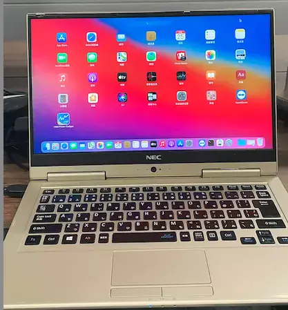 NEC LZ750 PC-GN276W1AA i7-7500U EFI Big Sur - 图片1
