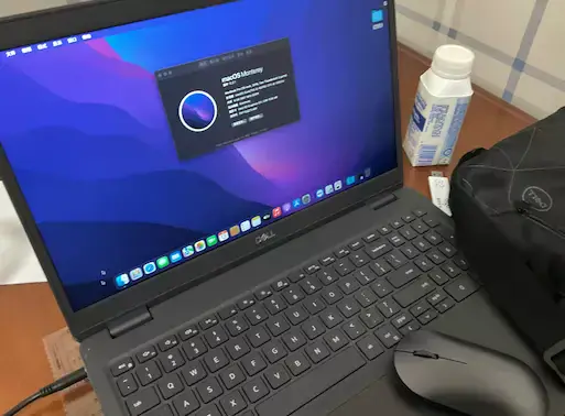 戴尔Latitude 3510 i5-10210U黑苹果安装EFI - 图片1