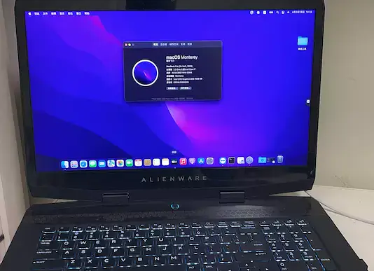 Alienware m17 i7-8750H EFI Monterey Ventura - 图片1