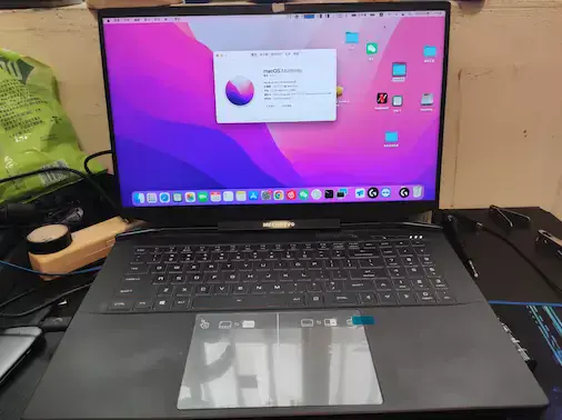 机械革命钛钽PLUS(GM7MG0M) i7-10875H黑苹果引导EFI - 图片1