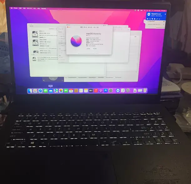 华硕X571LH/F571LH/X571GT/VX6OGT 9代10代黑苹果安装EFI - 图片2