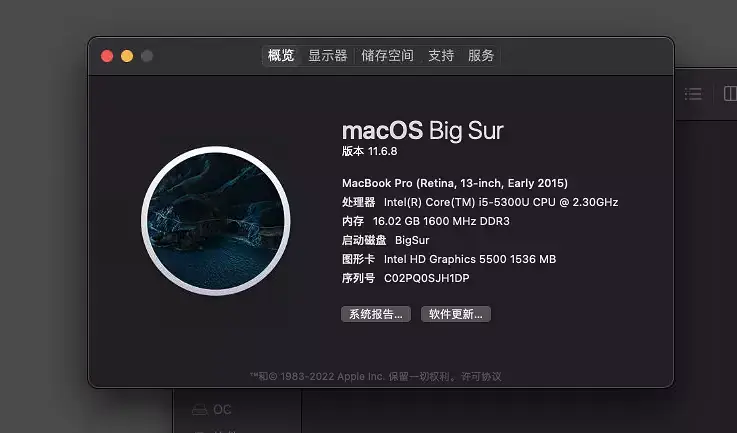 松下CFSX4-1 i5-5300U EFI Big Sur - 图片1