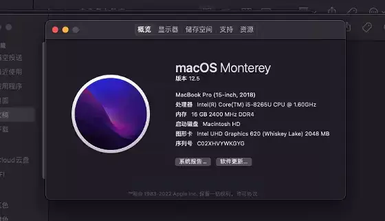 戴尔Latitude 7300/7400/5300 i5-8265U黑苹果安装EFI - 图片3