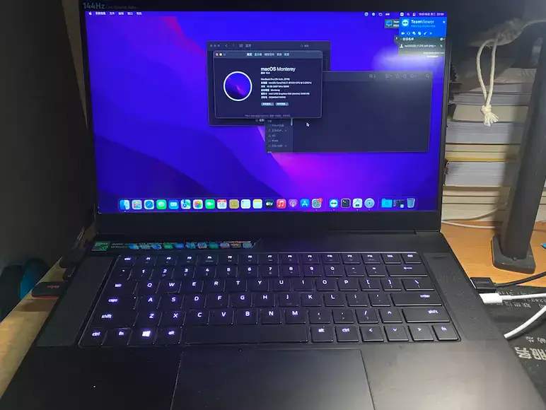 雷蛇Blade 15 Advanced 2018 i7-8750H EFI Monterey Ventura - 图片1