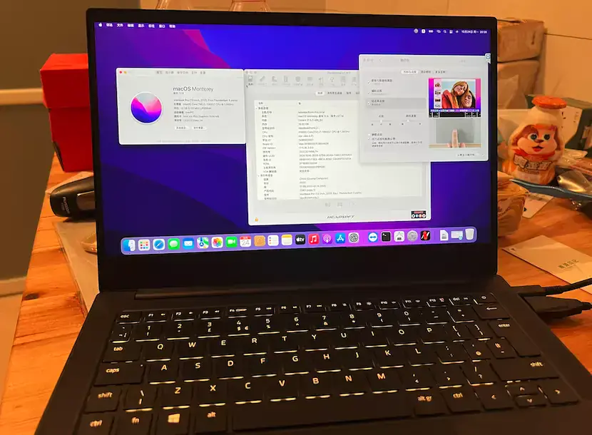 雷蛇Blade Stealth 13 Early 2020 i7-1065G7 EFI Monterey Ventura - 图片2