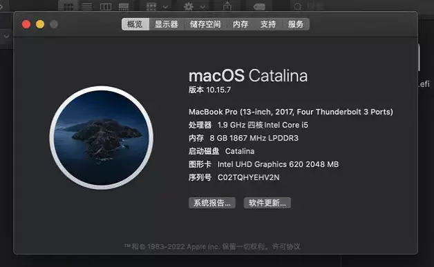 微软Surface Pro 6 i5-8350U EFI Catalina - 图片2