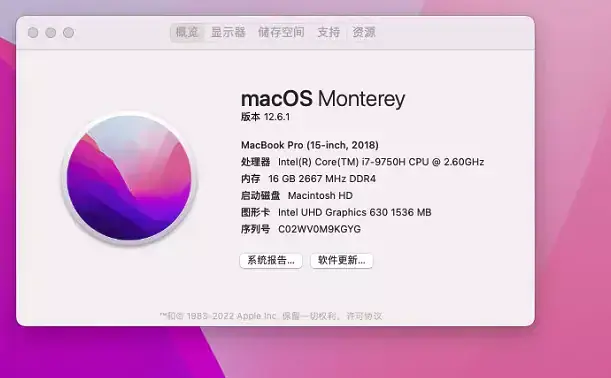 Alienware m17 R2 i7-9750H EFI Monterey - 图片2