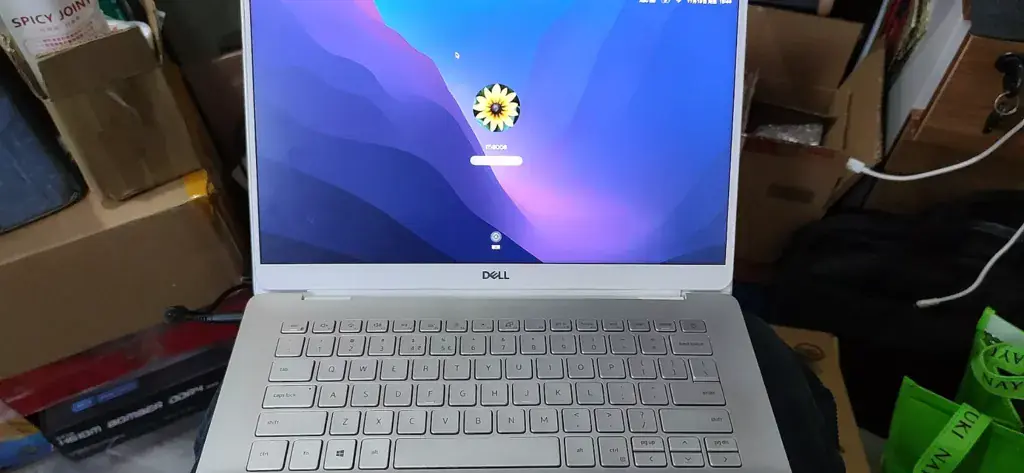 戴尔Inspiron 5590/5490/5498-Fit Vostro 5490/5590 i7-10510U黑苹果安装EFI - 图片3