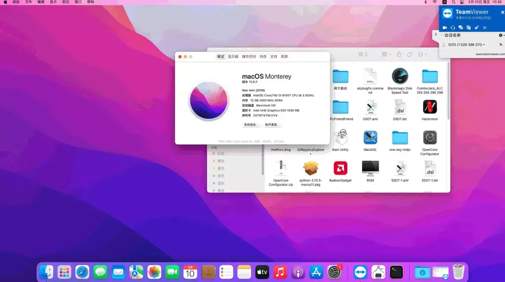 i3-9100T 戴尔OptiPlex 3070 台式机 EFI Monterey - 图片1