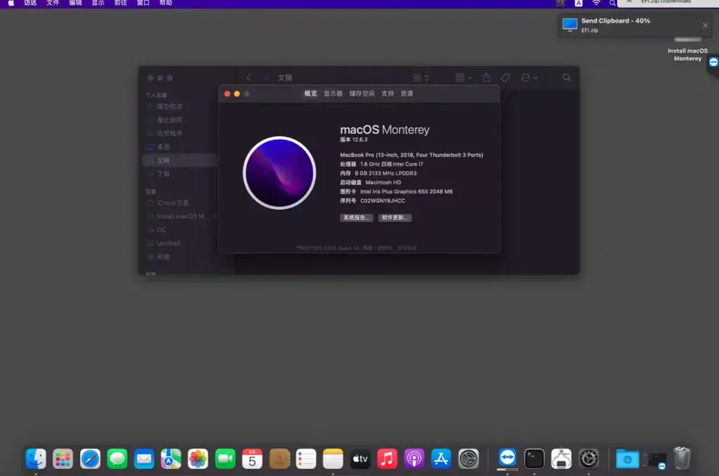 华为Matebook X Pro 2019 MACHR-WX9 i5-8265U黑苹果安装EFI - 图片1