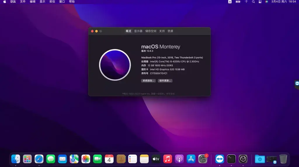 宏基TravelMate P238-M i5-6200U黑苹果安装EFI - 图片1