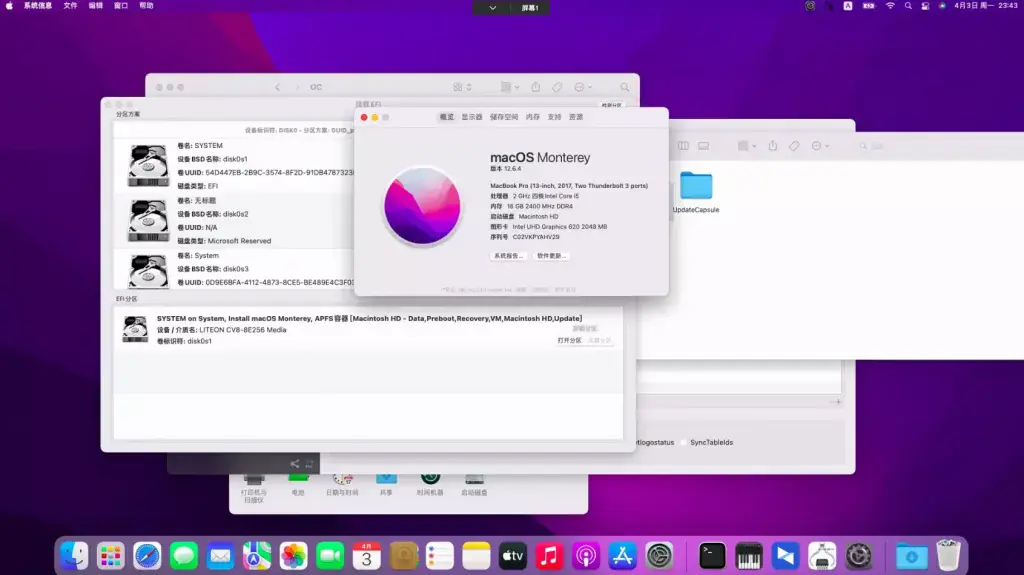 华为/荣耀MagicBook/MateBook D 14 2018 VLT-WX0/MRC-WX0黑苹果引导EFI - 图片2