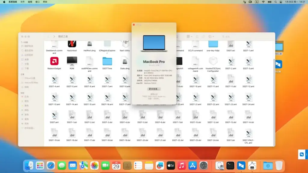 戴尔G15 5510 i7-10870H黑苹果安装EFI - 图片3