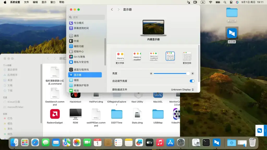 ThinkPad P1 Gen 2 i7-9750H EFI Sonoma - 图片7