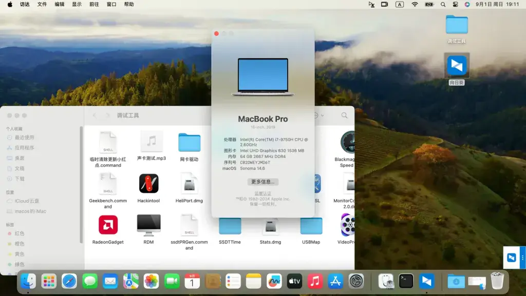 ThinkPad P1 Gen 2 i7-9750H EFI Sonoma - 图片8