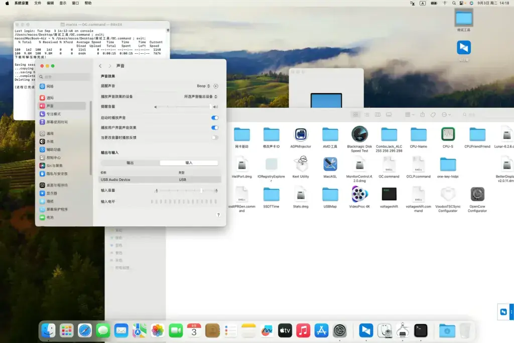 攀升SmartBook P1 Pro+ i3-1005G1 EFI Sonoma - 图片1