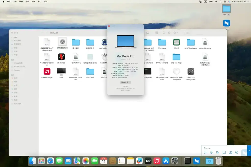 华为Matebook 13/14 2020 KLVC/WRTB-WXX9 i7-10510U黑苹果安装EFI - 图片8