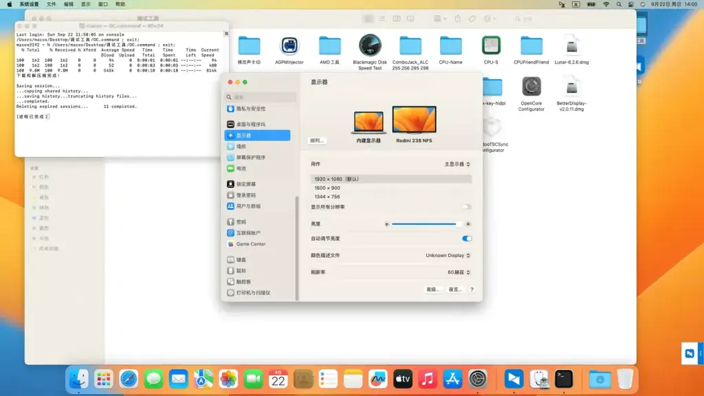 荣耀MagicBook 14 2021 NMH-WXX9 R5-5500U黑苹果安装EFI - 图片3