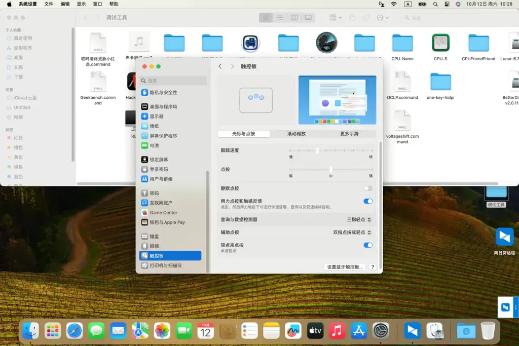 华为Matebook X Pro 2019 MACHR-WX9 i5-8265U黑苹果安装EFI - 图片3